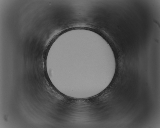 X0000103261408200809261128