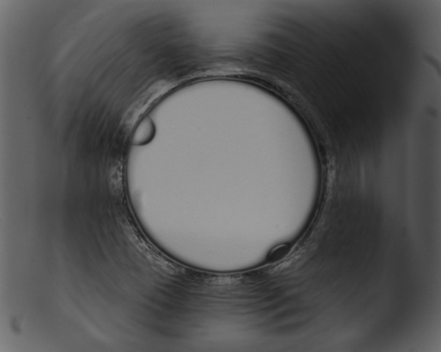 X0000103261409200809261128