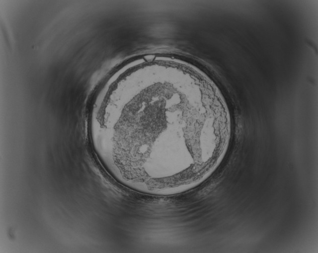 X0000103261414200809261128