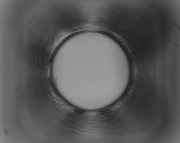 X0000103261415200809261128