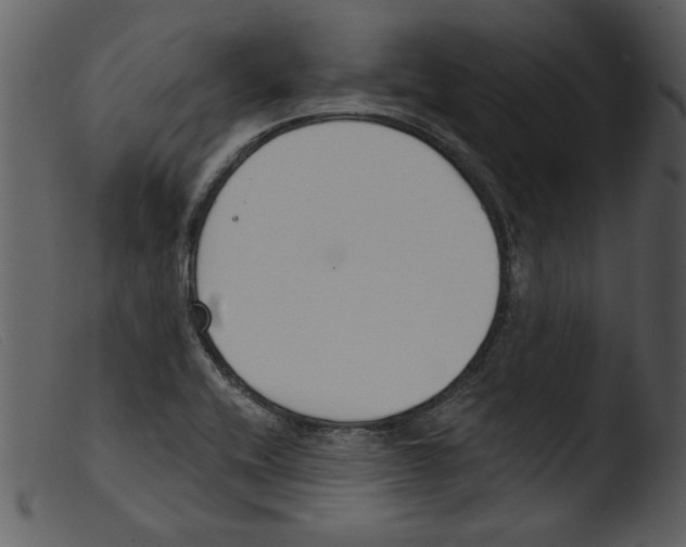 X0000103261416200809261128