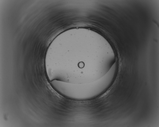 X0000103261417200809261128