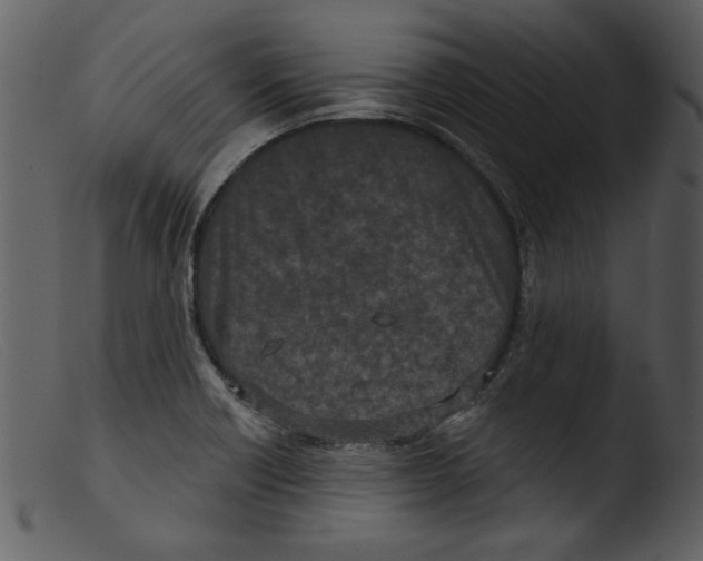 X0000103261418200809261128