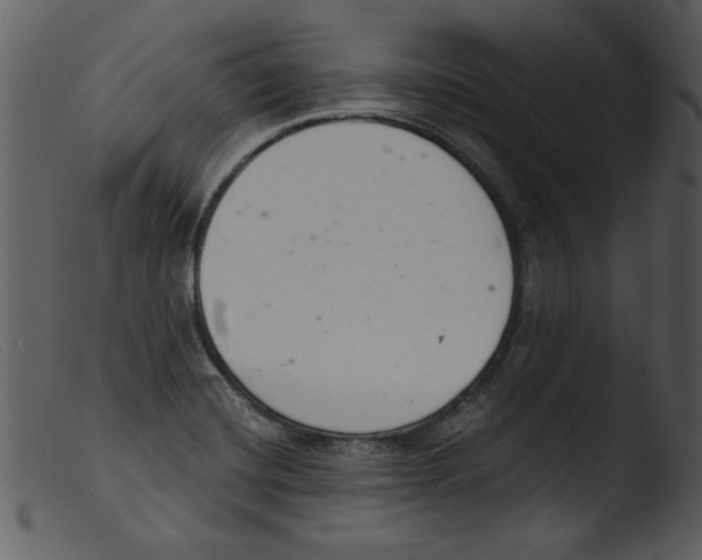 X0000103261420200809261128