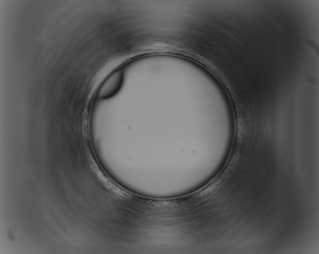 X0000103261421200809261128