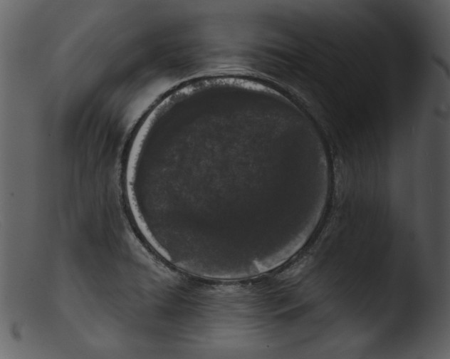 X0000103261422200809261128