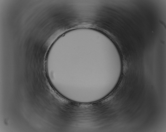 X0000103261423200809261128