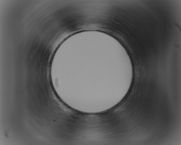 X0000103261424200809261128