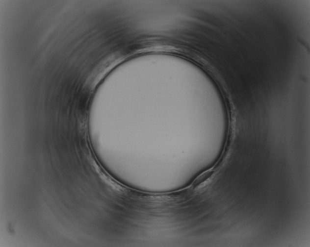 X0000103261425200809261128