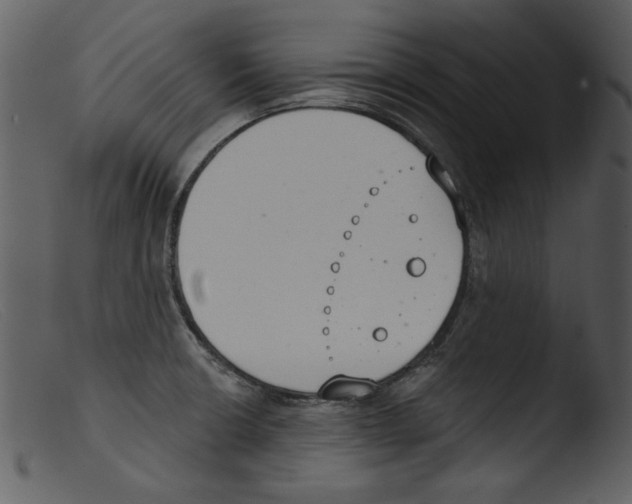 X0000103261426200809261128