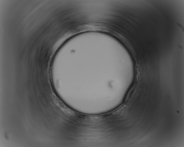 X0000103261427200809261128