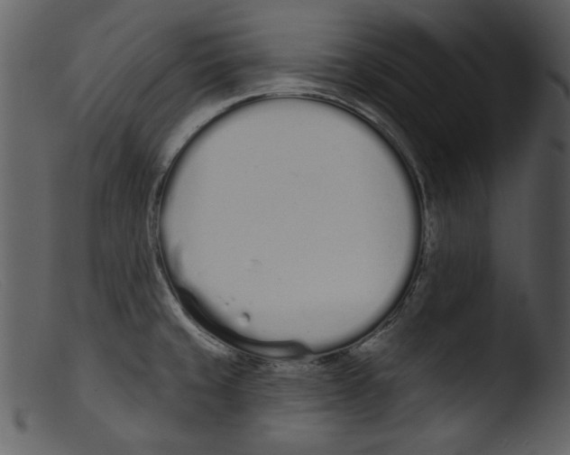 X0000103261429200809261128