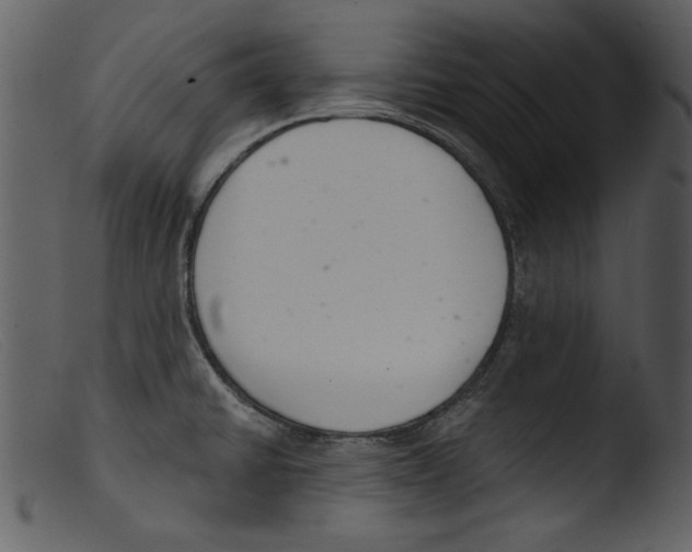 X0000103261430200809261128