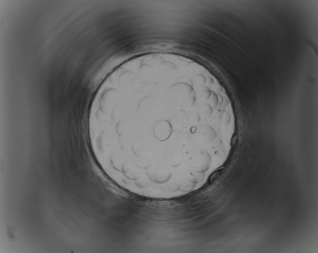 X0000103261432200809261128