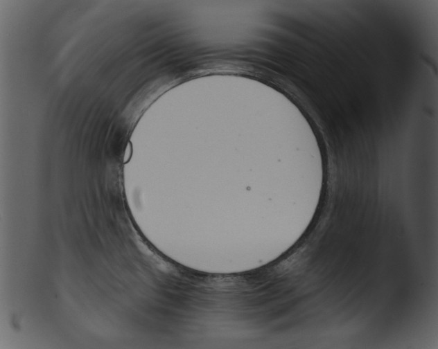 X0000103261433200809261128