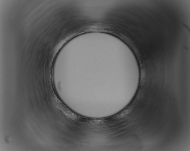 X0000103261435200809261128