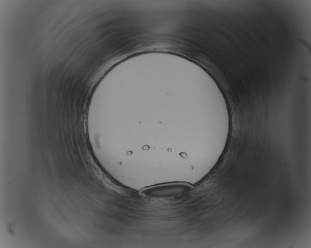 X0000103261436200809261128