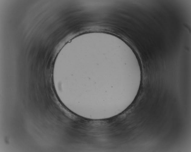 X0000103261437200809261128