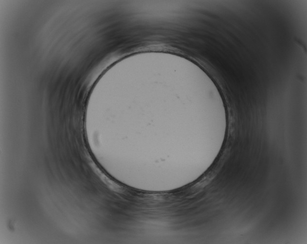 X0000103261438200809261128