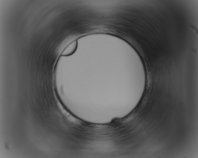 X0000103261439200809261128