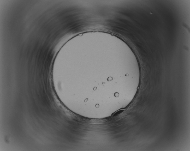 X0000103261440200809261128