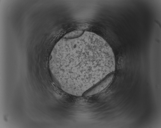 X0000103261441200809261127