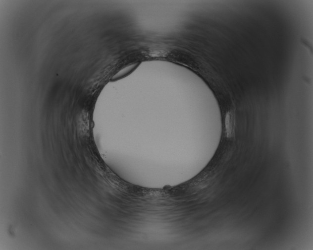 X0000103261443200809261127