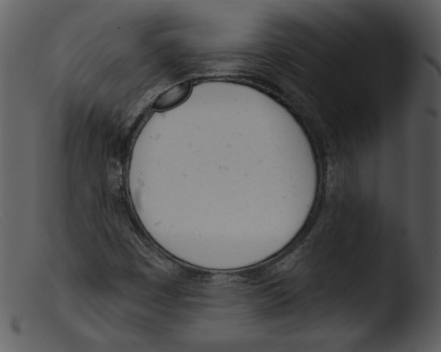 X0000103261449200809261127