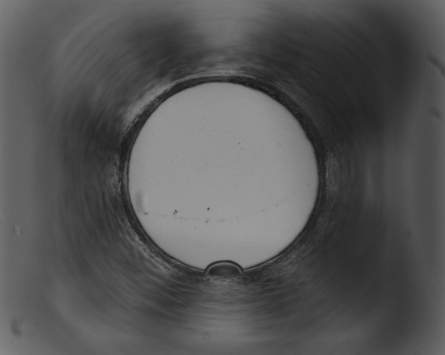 X0000103261452200809261127