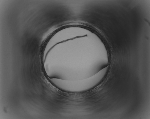 X0000103261456200809261127