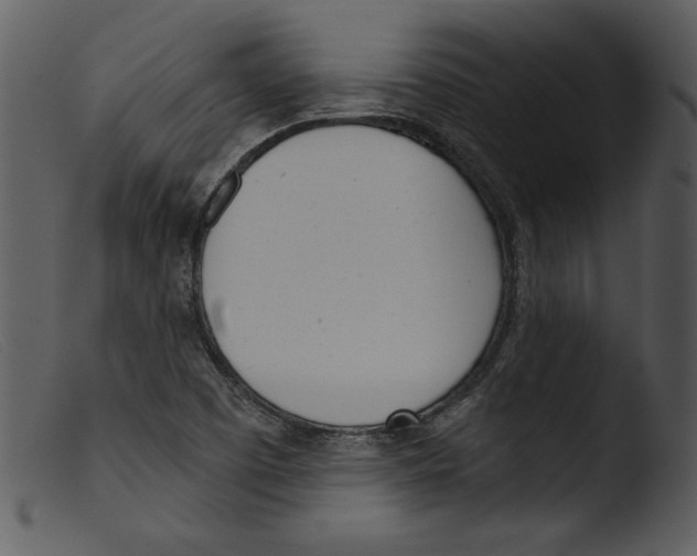 X0000103261457200809261127