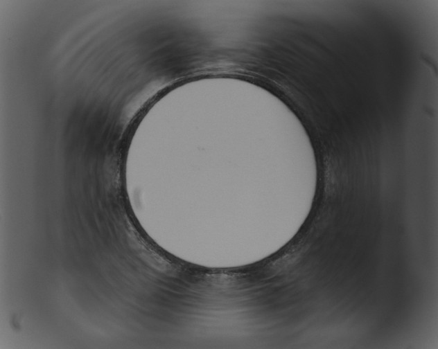 X0000103261458200809261127