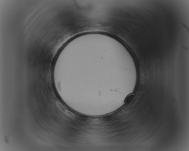 X0000103261460200809261127