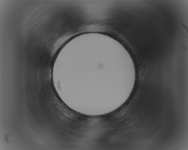 X0000103261461200809261127