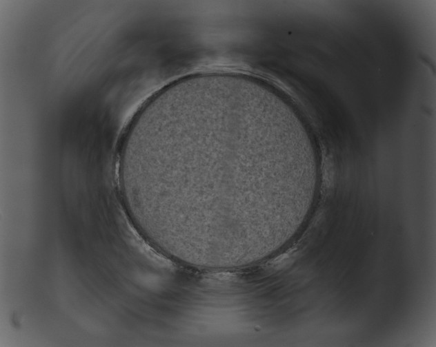 X0000103261462200809261127