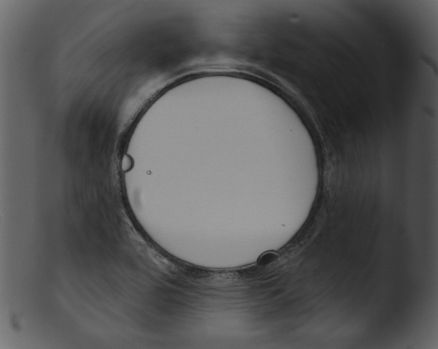 X0000103261464200809261127