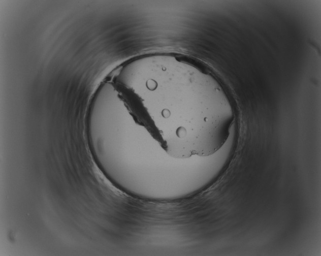 X0000103261468200809261127