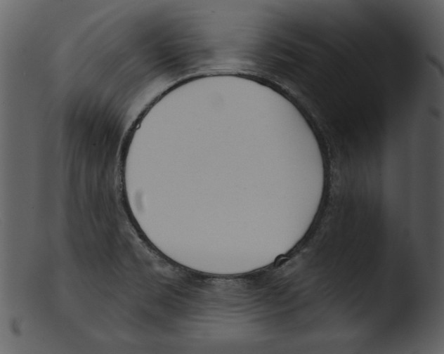 X0000103261469200809261127