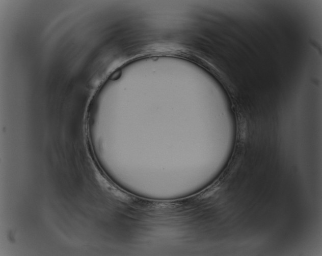 X0000103261471200809261127