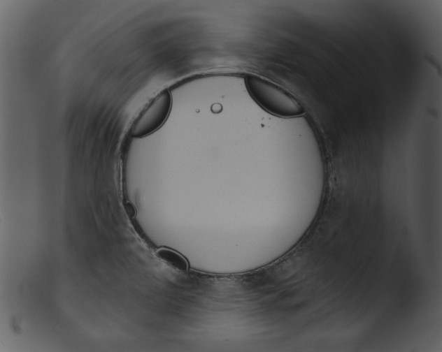 X0000103261472200809261127