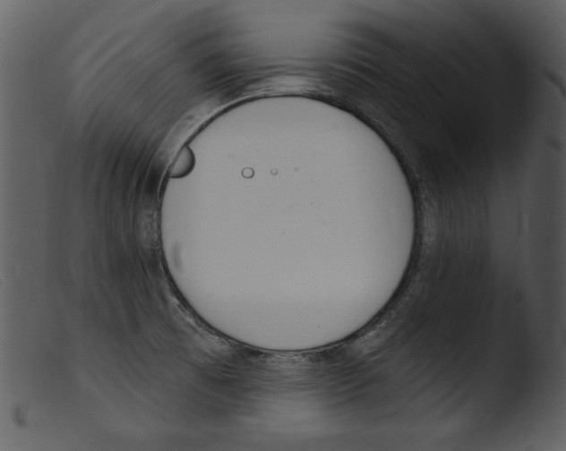 X0000103261473200809261127