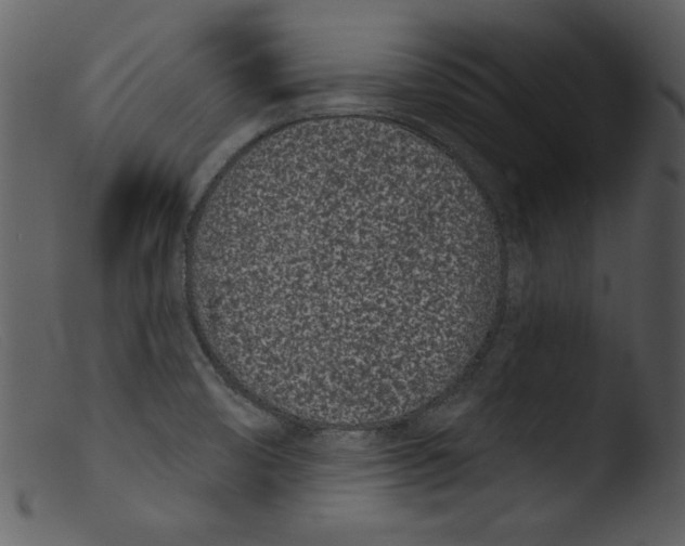 X0000103261474200809261127