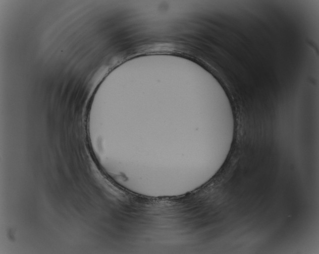 X0000103261475200809261127