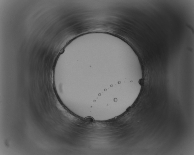 X0000103261476200809261127