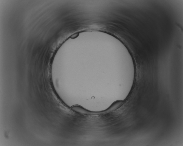 X0000103261477200809261127