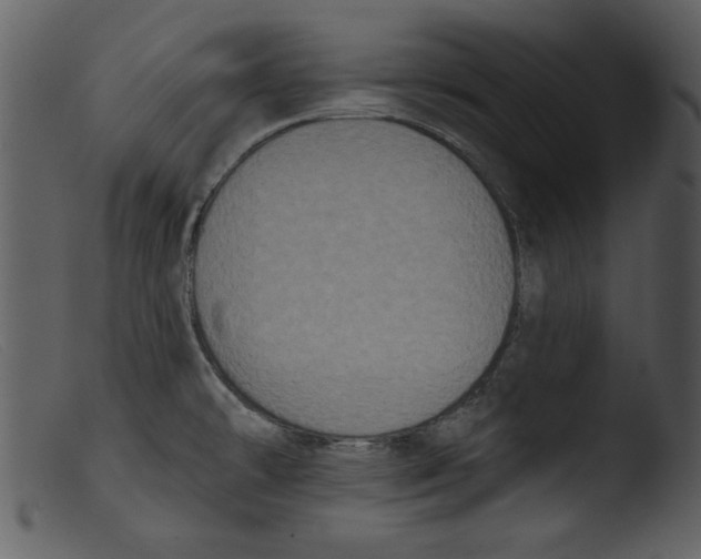 X0000103261478200809261127