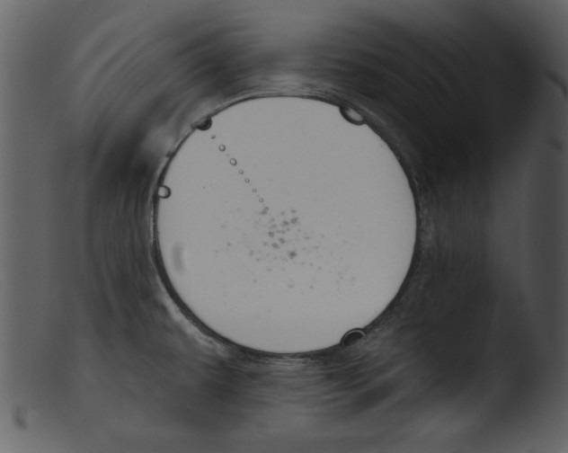 X0000103261479200809261127