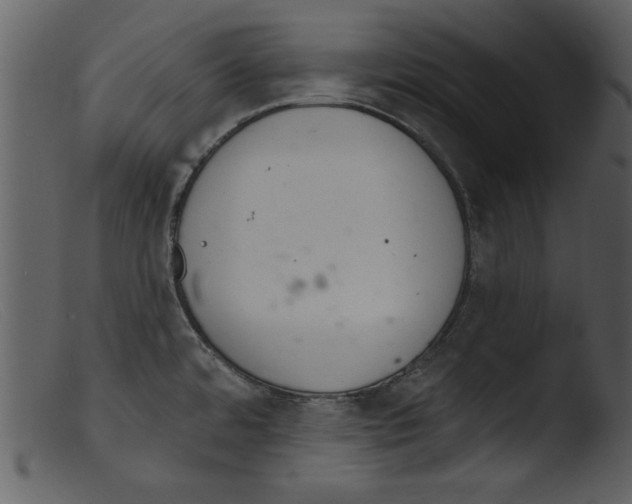 X0000103261480200809261127