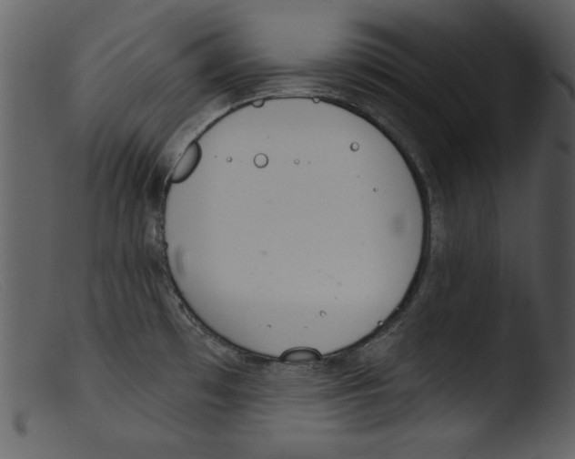 X0000103261481200809261127