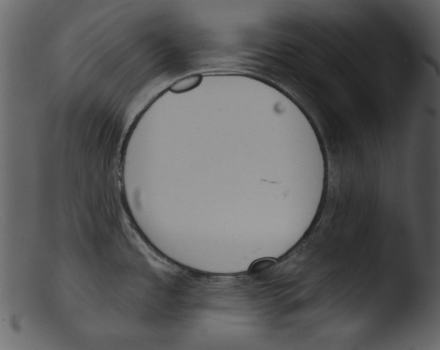 X0000103261485200809261127